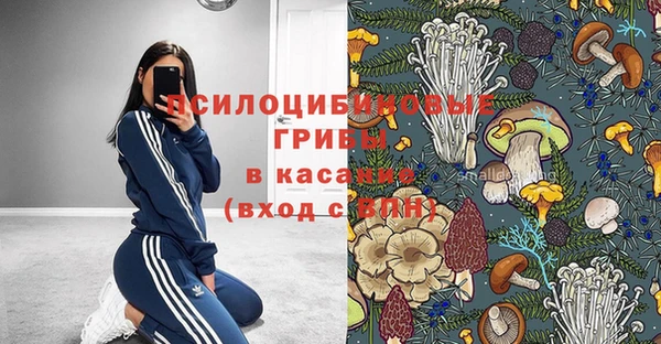 гидра Приозерск