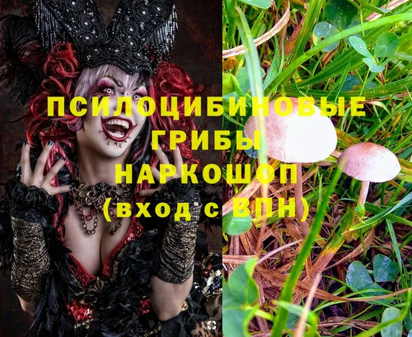 эйфоретик Бронницы