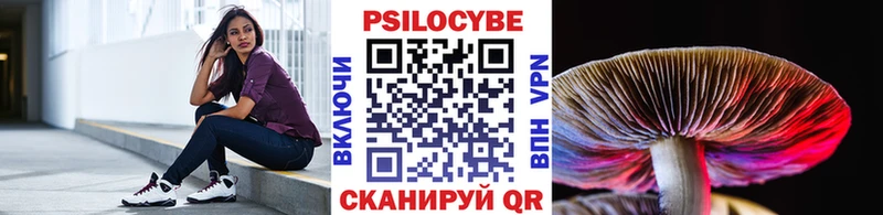 Псилоцибиновые грибы мицелий где продают наркотики Вилюйск